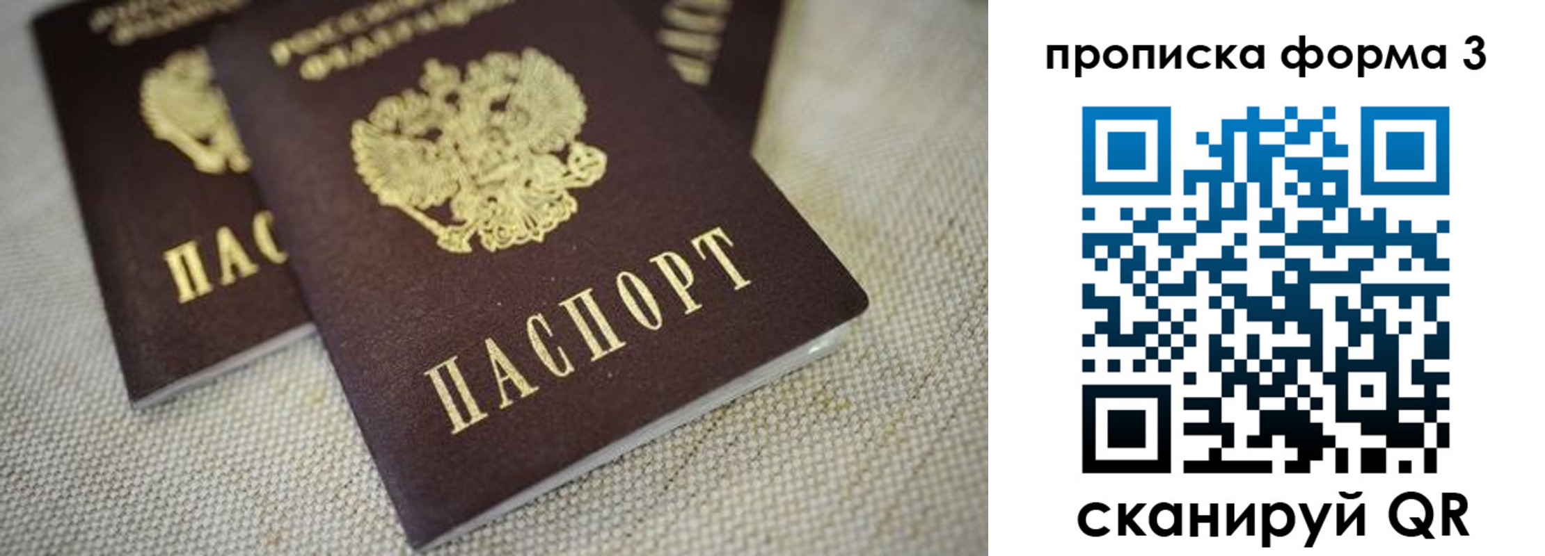 прописка поиск в Боре